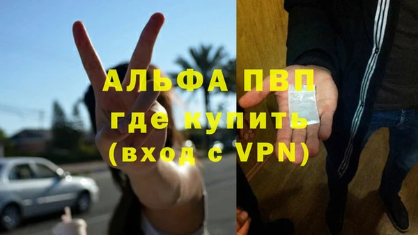 apvp Рославль