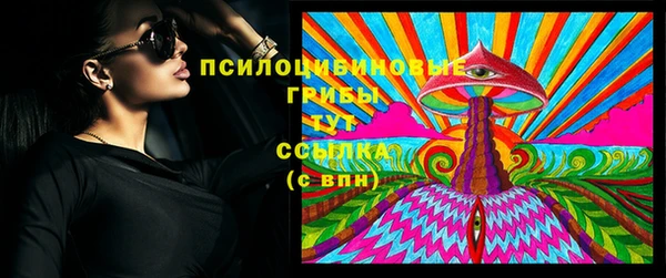 крисы Аркадак