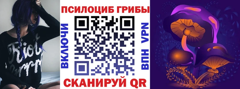 купить наркотик  Печоры  Псилоцибиновые грибы Cubensis 